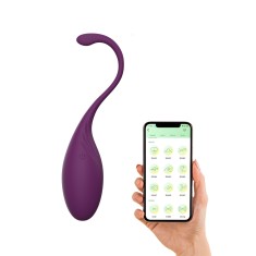 Playbird® - Vibrerend Eitje met APP - bekkenbodemtrainer - aubergine